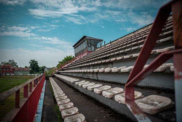 往往能够在 往往能够在