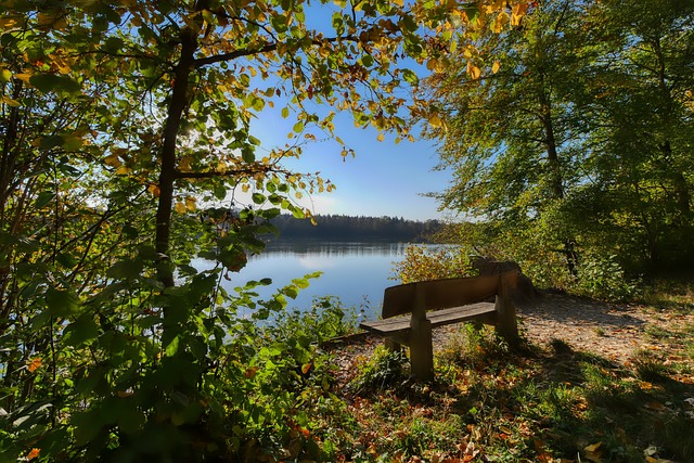 他不僅僅是 他不僅僅是