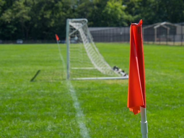 裁判判罚与 裁判判罚与