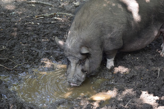 更是让人大 更是让人大