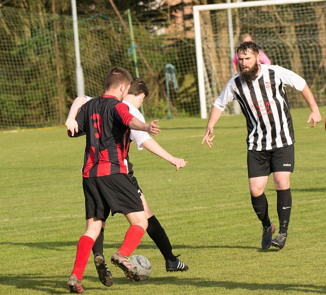 杂的竞赛环 杂的竞赛环